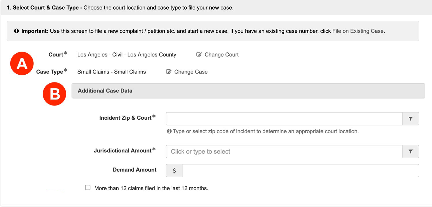 Select Court and Case Type